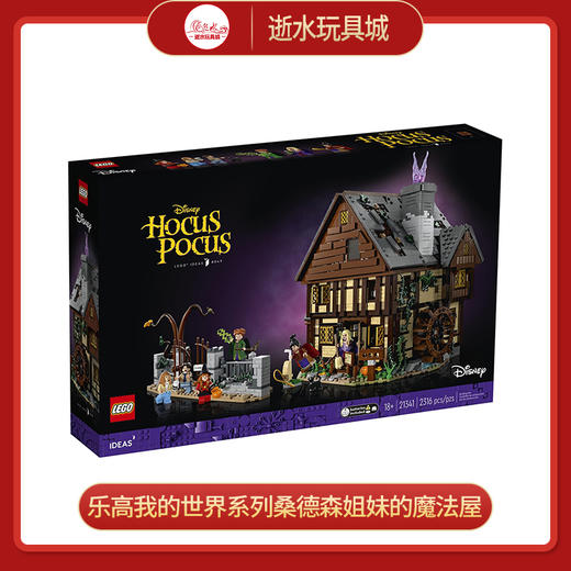 乐高积木L21341乐高我的世界系列桑德森姐妹的魔法屋 商品图0