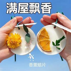 （香氛艺术美学 3只装）香薰持久留香清香型蜡片植物精油固体车载挂件