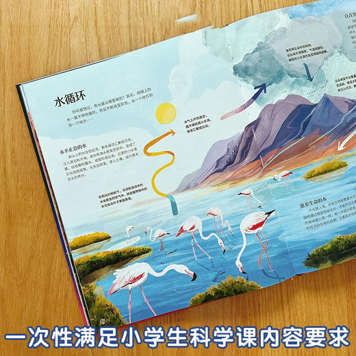 生生不息 从人类到宇宙万物的变化之书 安娜·克莱伯恩 著 儿童绘本 商品图2