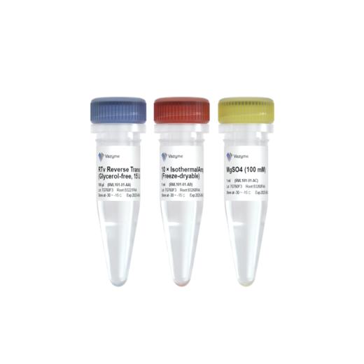 RTv Reverse Transcriptase (Glycerol-free) 商品图0