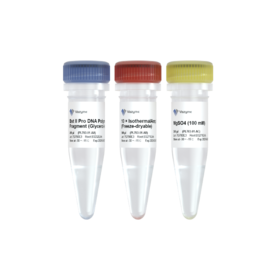 Bst II Pro DNA Polymerase Large Fragment (Glycerol-free)