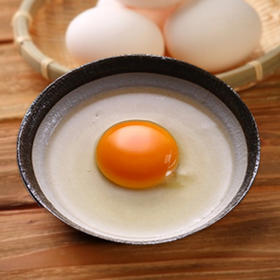 【开业特惠】窝蛋