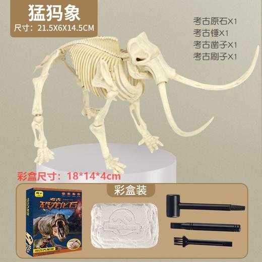 考古玩具恐龙挖掘化石骨架挖宝考古手工diy石膏玩具儿童兴趣培养 商品图12