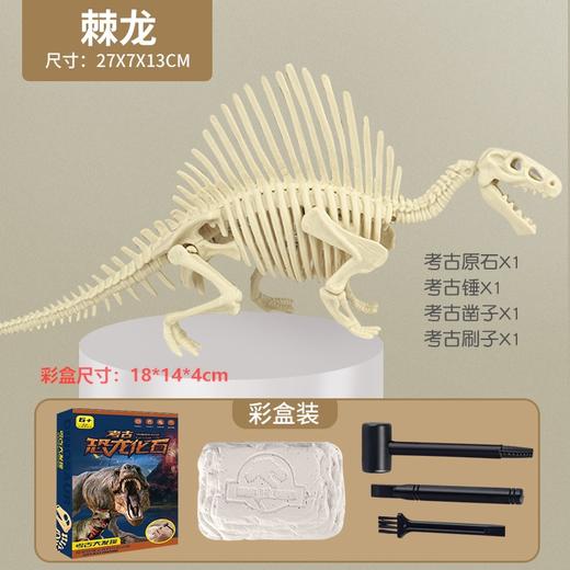 考古玩具恐龙挖掘化石骨架挖宝考古手工diy石膏玩具儿童兴趣培养 商品图9
