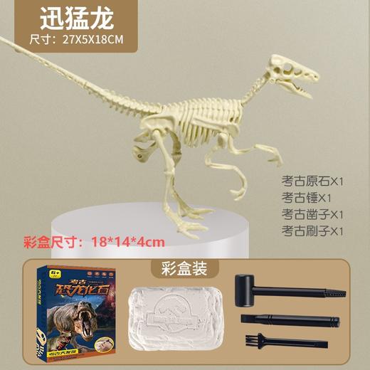 考古玩具恐龙挖掘化石骨架挖宝考古手工diy石膏玩具儿童兴趣培养 商品图10