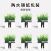 尊宝猫草锡纸装含沙土+1包种子 懒人猫草种植袋 化毛球猫咪零食 商品缩略图2