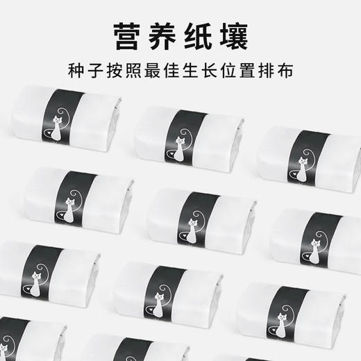 尊宝猫草锡纸装含沙土+1包种子 懒人猫草种植袋 化毛球猫咪零食 商品图3