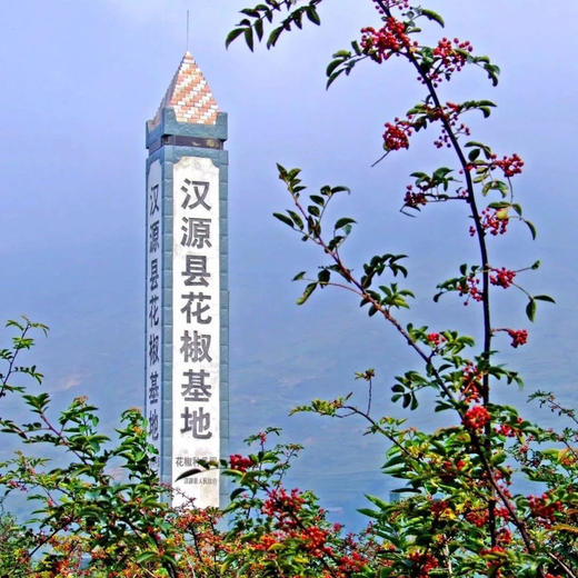 2025今年新花椒上架 汉源贡椒红花椒油，国家地理标志产品，自然生长零农残无污染 ，非转基因菜籽油结合，3天左右发货~ 商品图3