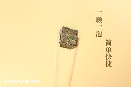 2011年千两茶颗粒湖南安化黑茶越陈越香500克 商品图2