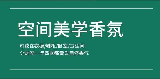 （香氛艺术美学 3只装）香薰持久留香清香型蜡片植物精油固体车载挂件 商品图5