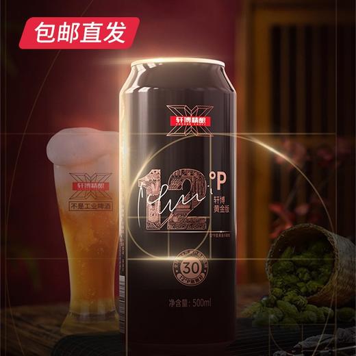 轩博精酿 黄金版12P 500ml*12【GA】【包邮直发】（ZB） 商品图0