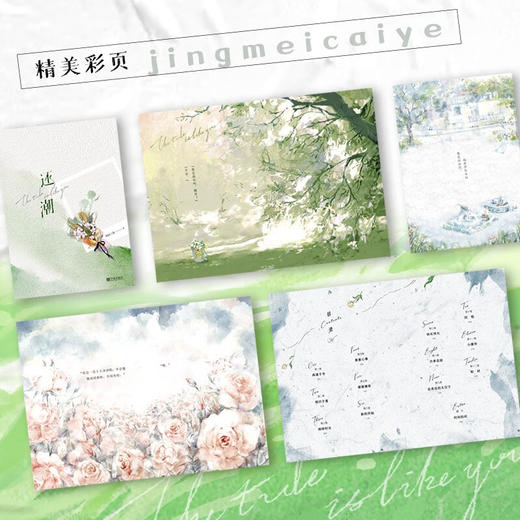 还潮 不问三九 著 青春文学 商品图2