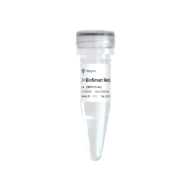 BioSmart MethyLight qPCR Mix