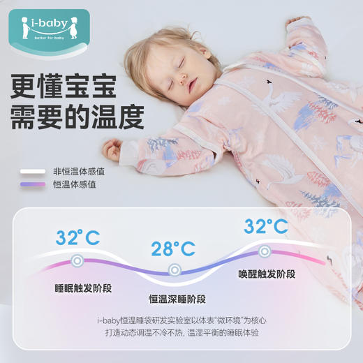 【限时秒杀】i-baby6-12月婴儿髋腿发育恒温深睡针织夹棉U型睡袋80码（12.1-12.31实付399赠送i-baby手拎包） 商品图1