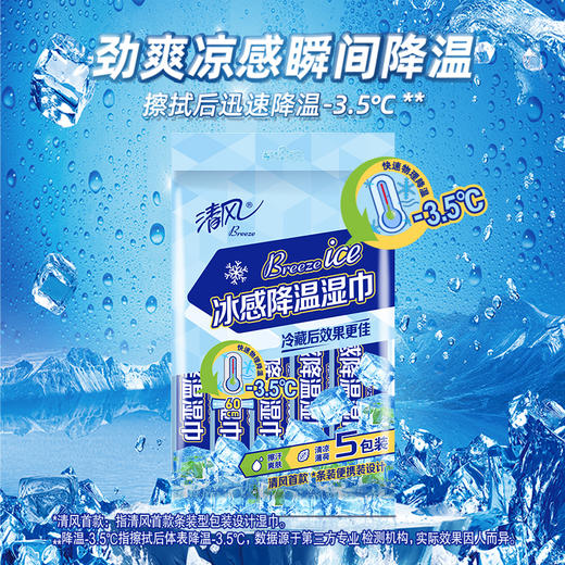 【官方自营】清风运动降温湿巾5包/提 商品图0