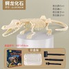 考古玩具恐龙挖掘化石骨架挖宝考古手工diy石膏玩具儿童兴趣培养 商品缩略图7