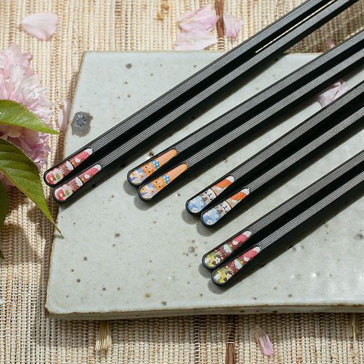 双枪（Suncha）筷子家用合金筷子 防霉防滑耐高温 创意日式尖头筷子餐具套装 分食筷 商品图4