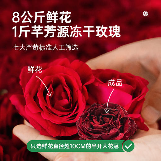 【墨红玫瑰礼盒装】养生茶饮首选墨红玫瑰，好玫瑰造就美丽女人，冻干技术锁鲜，满满花青素 商品图1