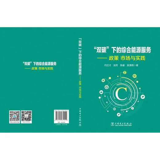 “双碳”下的综合能源服务——政策、市场与实践 商品图2