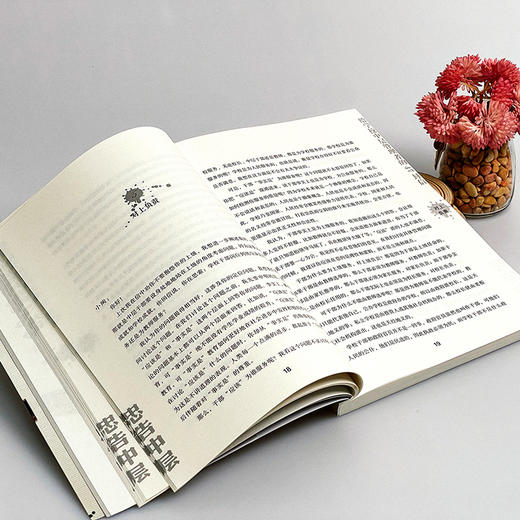 忠告中层 给学校中层管理者的47封信 郑杰 大夏书系 商品图12