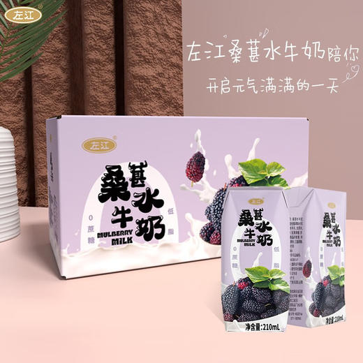 左江桑葚水牛奶210ml*10盒/箱 商品图2