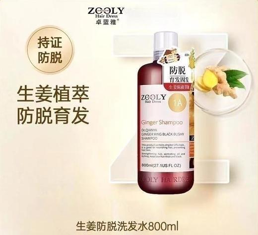 9楼母婴生活馆 卓蓝雅生姜洗发水防脱增发密发去屑止痒控油蓬松固发洗发露 吊牌价：143元1瓶 活动价：95元1瓶 商品图0