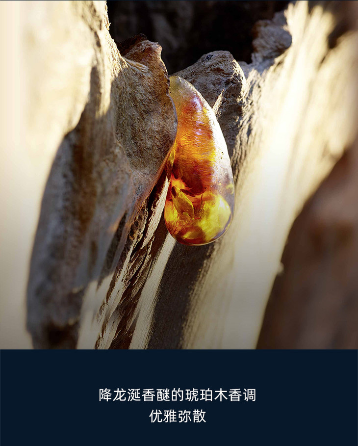 O1CN01k3VoV81KT9syUn4Ng_!!2207959261164.jpg (790Ã�984)