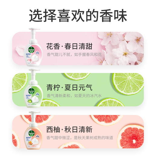 滴露泡沫抑菌洗手液青柠香型250ml 商品图3
