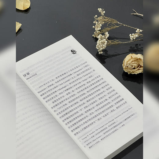 雪豹：走向喜马拉雅的心灵之旅(远方译丛) 商品图3