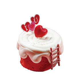 四季与你-520限定