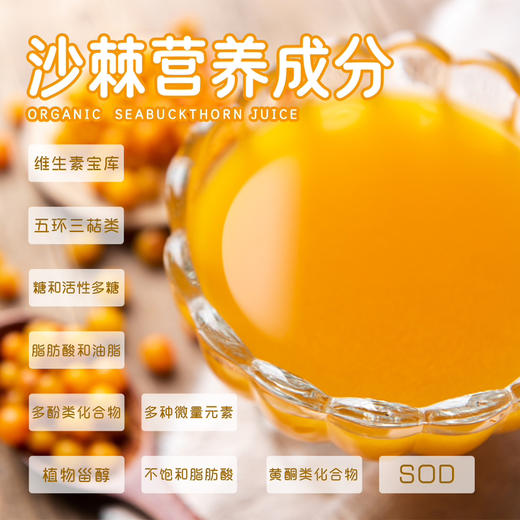 【健康养生快乐生活系列】有机沙棘汁/沙棘油，口感好，高营养 商品图3