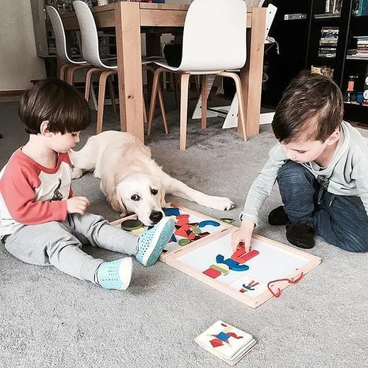 djeco儿童磁力磁性几何图形拼图巧板拼板智力益智玩具木制3-4-5岁 商品图5