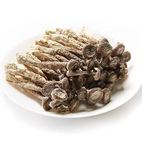 鹿茸菇 商品图2