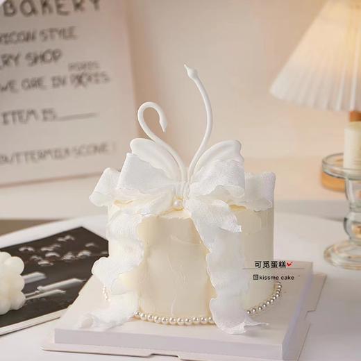 白天鹅 商品图0