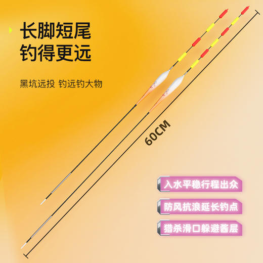 佳钓尼无铅自立铅漂钓的更远抢鱼更快黑坑远投钓远钓大物神器 商品图2