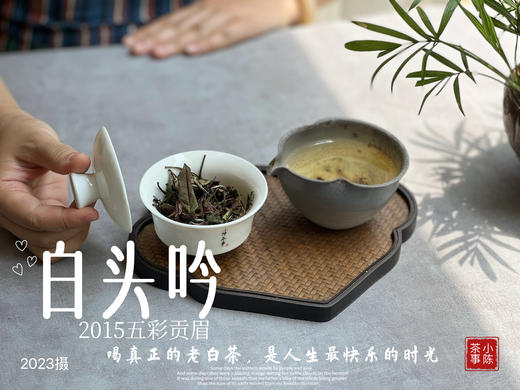 【独一份】白茶稀缺品珍藏，2015五彩贡眉7年了首次推出（50克） 商品图8
