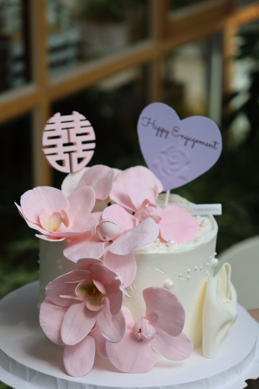 粉色蝴蝶兰 商品图2