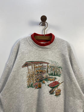 90年代 Vintage Gopher Sport 卫衣 _SLSS(XL)