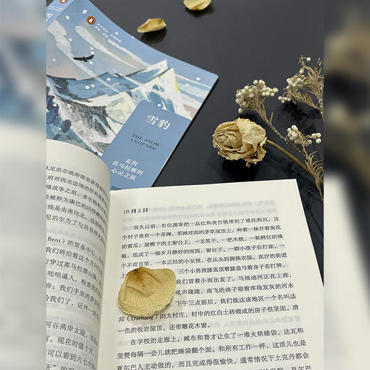 雪豹：走向喜马拉雅的心灵之旅(远方译丛) 商品图4