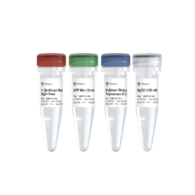 BioSmart MethyLight DNA Polymerase