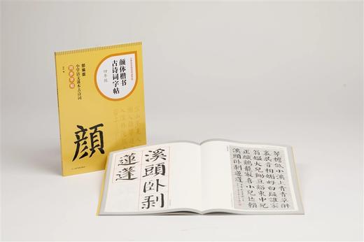 小学生古诗词书法字帖《颜体楷书古诗词字帖》 商品图7