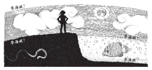 《数学的雨伞下：理解世界的乐趣》 商品图13