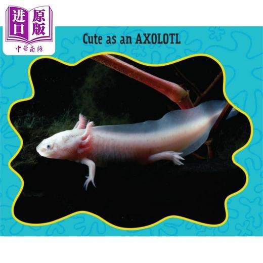 【中商原版】吓一跳的百科 那些可爱的动物 Cute as an Axolotl 英文原版儿童科普绘本 精装 儿童动物百科读物 兰登书屋童书 商品图2