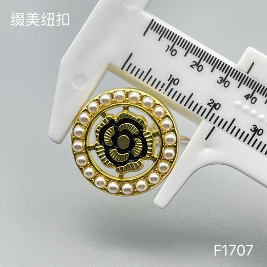 F1707 商品图4