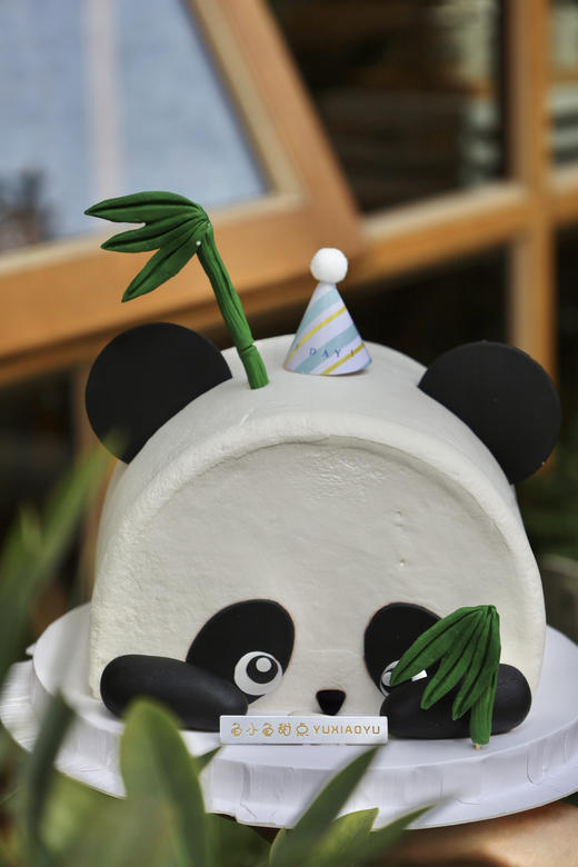 熊猫竹子 商品图5