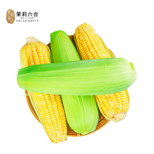 【预售】新鲜水果玉米5斤（带壳） 商品图0