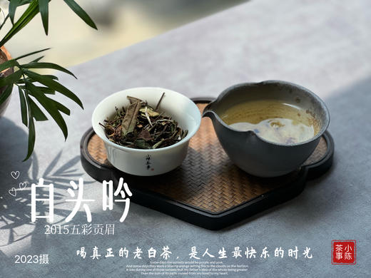 【独一份】白茶稀缺品珍藏，2015五彩贡眉7年了首次推出（50克） 商品图11