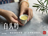 【独一份】白茶稀缺品珍藏，2015五彩贡眉7年了首次推出（50克） 商品缩略图10