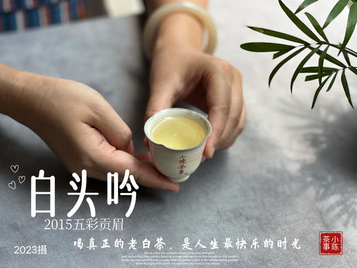 【独一份】白茶稀缺品珍藏，2015五彩贡眉7年了首次推出（50克） 商品图10