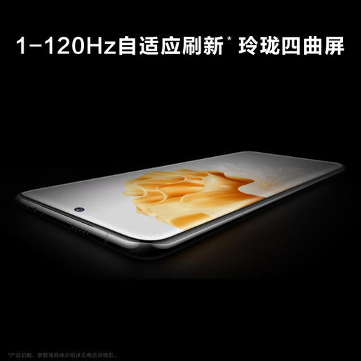 【快递邮寄】华为/HUAWEI P60 超聚光XMAGE影像 双向北斗卫星消息 8GB+256GB 羽砂黑 鸿蒙曲面屏 智能旗舰手机 商品图1